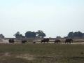 Ihaha - Chobe  Reserve