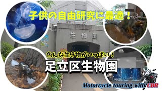 【関東穴場スポット】CBR150Rで行く足立区生物園。お子さんの自由研究などに最適です。撮影はGoPro Hero5 BlackとNonBland中華アクションカメラの対決！