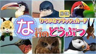 【フラッシュカード】☆ひらがなのお稽古＆語彙力のアップに☆「な行の動物〜鳥類編〜」