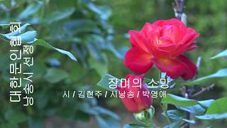 김현주 / 장미의 소망 / 시낭송 / 박영애 (낭송시 선정)