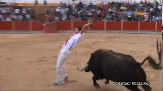 Concurso de Recortes Velilla de San Antonio 2012