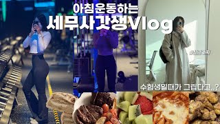 VLOGㅣ헬스 7년차 세무사의 신년계획ㅣ가끔은 수험생일때가 그리운 요즘ㅣ크리스마스 홈파티, 허대빵ㅣ아침 헬스 브이로그ㅣ직장인 브이로그ㅣ운동 브이로그ㅣ