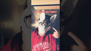 അതെ…. ഒന്നുമില്ല…. #antizoo furry #therian #cosplay #funny #memes #mask #relatable #wolf #coyote