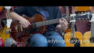 【試奏動画】Rozeo Ladybug-Mahogany     [LASTGUITAR]