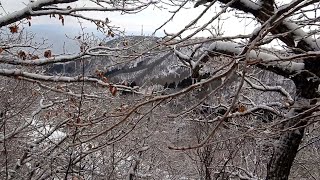 冬季函館山登山！！無謀だったかも、山登りは計画的に