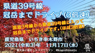 県道39号線　冠岳までドライブ（3倍速）　鹿児島県　いちき串木野市　2021（令和3）年　11月17日（水）