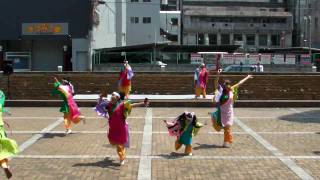 黒崎よさこい祭り【ふくこいアジア祭り隊】