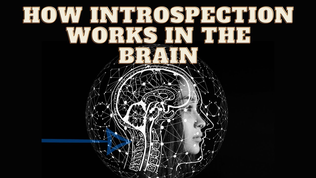 The Neuropsychology And Neuroscience Of Introspection And Why It's ...