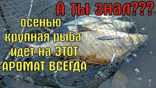 ЛОВИ ПО ХОЛОДНОЙ ВОДЕ / СЕКРЕТ УШЛЫХ РЫБАКОВ / Супер рыболовная насадка для карася.