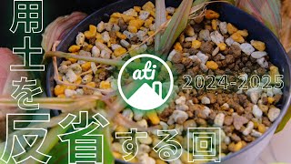 【用土】多肉植物・塊根植物の用土を反省する回【2024→2025】