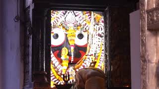 Today Jagannath Patitapaban Darshan l Date13/12/2024 Time05:55am