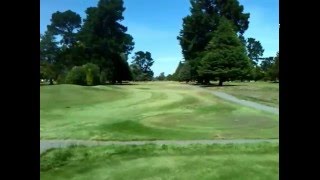 Soothing New Zealand Golf Course  Summer  癒しのＮＺ ゴルフコース  夏