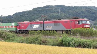 稲刈り前の田んぼと千貫山の間を走る普通列車と福山レールエクスプレス＠宮城県岩沼市