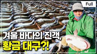 [Full] 한국기행 - 그 겨울 참 오지다 제4부 거제 바다의 겨울 진객