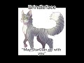 Warrior Cats Last Words Part 2 First Series(None of the photos are mine)