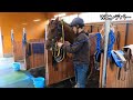 【3歳以上＆ニ歳馬＃3　調教】2024.5.29【坂路】入厩を控えた競走馬の追い切り