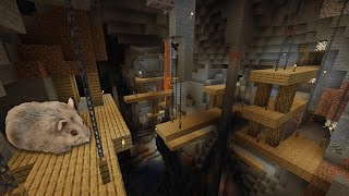 Hamster Obstacle Course, Hamster Escape From Minecraft Maze - DIY Maze Hamster Labyrinth