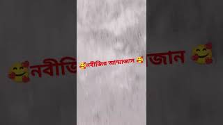 নবীজির আম্মাজান | এটা শেয়ার হবে 24/12/24 December