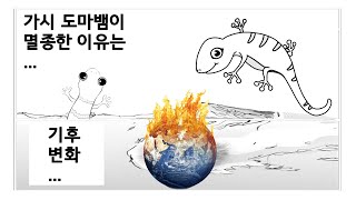 기후 재앙: 한 종의 비극적인 멸종을 목격하세요!