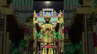 137 - Namakkal Sri Anjaneyar today 25.12.2024 night darshan.