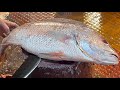 Amazing Big Red Snapper Fish Cutting Skills In Fish Market | Amazing Cutting Skills