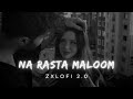 Na Rasta Maloom - lofi (slowed reverb) insta trending song ❤️ #instatrendingsong