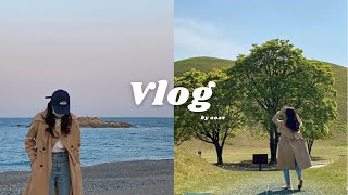 vlog. 외국계 직장인 브이로그 | 경주 여행 | 대릉원 인생샷 | 불국사 겹벚꽃 | 주 4일 근무 | 교리 김밥 | 커피 플레이스