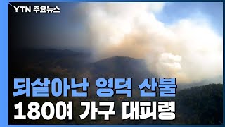 되살아난 영덕 산불, 산불 3단계 발령...180여 가구 대피 / YTN