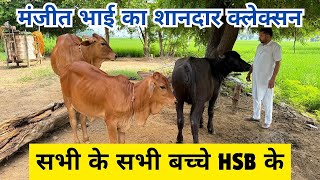 HSB के रिज़ल्ट्स देख कर सभी पशुपालक हैं￼ बिल्कुल ख़ुश 😻😻