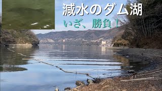 ダム湖チャレンジ！鯉釣り大型狙い［1月］