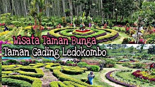 Wisata Alam Taman Gading Ledokombo Jember