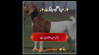 | اللہ کے ہاں سب سے افضل دن بڑی عید والا دن ہے|Allama Khadim Hussain Rizvi |Eid ul Adha |#Qurbani