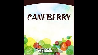 '24 Caneberry Session III