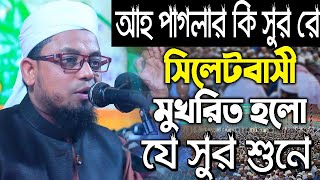 আহ পাগলার কি সুর রে সিলেটবাসী,মুখরিত হলো যে সুর শুনে,মাওলানা আলীনুর আহমদ হাদী ছাতকী