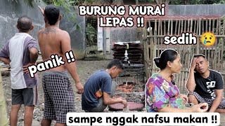 Download Mp3 BURUNG LEPAS PANIK SAMPE LUPA NGGAK PAKE BAJU
