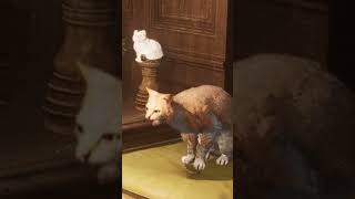 Can you pet the cat in Lies of P?