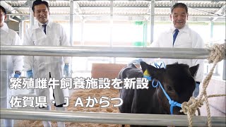 県内初の繁殖雌牛飼養施設　受精卵移植、就農研修にも（佐賀県唐津市）