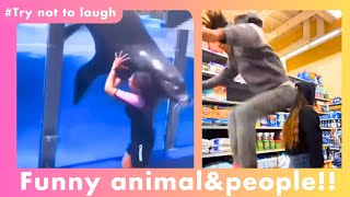 【Try not to laugh】Funny animals \u0026 people!! 面白い動物と面白い人々