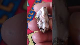 عقیق شجر دار زیبا agate tree very beautiful