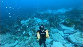 DIVING CRYSTAL CLEAR WATERS OFF PORT STEPHENS - LOBSTERS, SNAPPER, WHALES