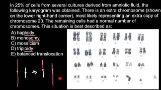 Haploidy, Monosomy, Mosaicism, Triploidy and Balanced Translocation explained