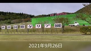 2021年9月26日秋田国際ダリア園