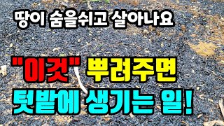 퇴비를 조금 사용해도 효과는 배가되는 왕겨숯 사용해요