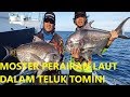 Berburu Ikan Predator Di Teluk Tomini | Indonesia Fishing Charter | slow jigging