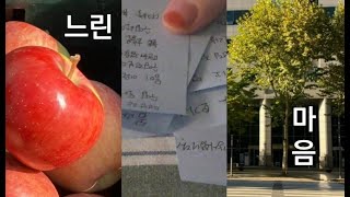 *느린 마음* VLOG (강릉 여행, 요가 지도자 과정, 후암동 카페, 독립출판, 캠코더브이로그)