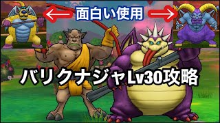 [ドラクエウォーク]バリクナジャLv30攻略