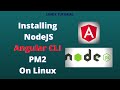 How to install NodeJS, Angular CLI and PM2 on Ubuntu Linux | install NodeJS |Install Angular| 2021