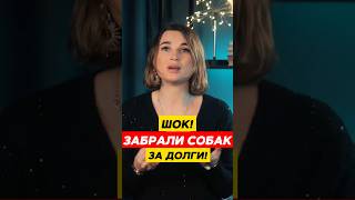 😱 Скандал в арбитражном суде! Домашних животных заберут за долги? Запрет на изъятие животных