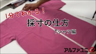 1分でわかる！ Tシャツ採寸- アルファユニ