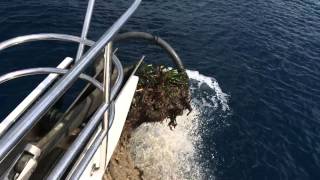 Pulling Anchor Covered With Mud